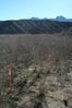 Filename=20090128_3991_Pearce_Ferry_Road_crosses_first_section_of_poor_soil.jpg
Filesize=30KiB
Dimensions=320x480
Date added=Jan 30, 2009 20090128_3991_Pearce_Ferry_Road_crosses_first_section_of_poor_soil.jpg