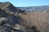 20090128_4034_view_south_as_roadway_would_go_along_base_of_steep_hillside.jpg