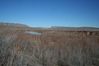 20090128_4061_downstream_view_of_the_Colorado_river_at_proposed_Pearce_Ferry_Road.jpg