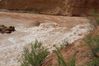 Filename=Upstream_view_of_the_ledge_April_2010.jpg
Filesize=85KiB
Dimensions=640x426
Date added=Apr 19, 2010 Upstream_view_of_the_ledge_April_2010.jpg